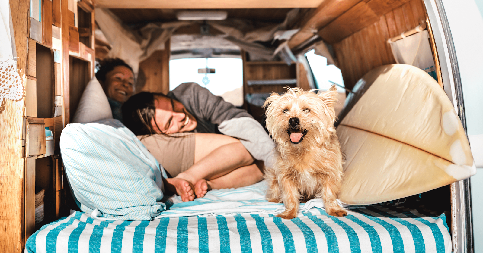 ADAPTIL _ August 2022 _ Going on Vacation_ 30 Tips to Support Your Dog-Jul-29-2022-12-28-45-63-PM