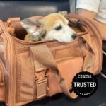 tal-dagne-dover-kyoto-pet-carrier-anna-popp-07-1-e5a04e31430b40b9ad49874d0df952d9